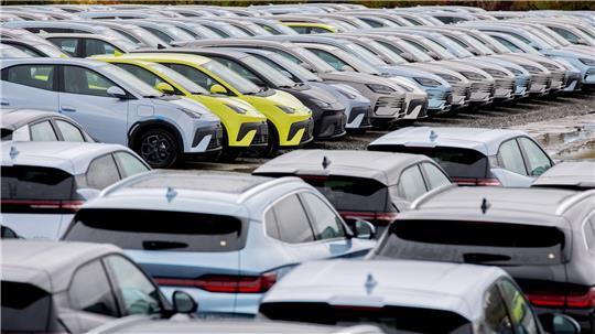 Aus China importierte Elektroautos in Wilhelmshaven. Der Druck der chinesischen Industrie auf ihre deutsche Konkurrenz wächst beständig. (Symbolbild)