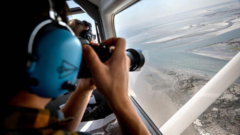 Erste Flüge für Seehund-Zählungen im Wattenmeer starten Aus der Luft zählen und fotografieren Experten Alt- und Jungtiere, die sich bei Ebbe ausruhten.
