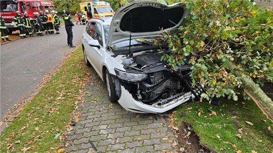 Aus ungeklärter Ursache kam der VW Passat mit Hamburger Kennzeichen von der Straße ab und prallte gegen einen Baum.