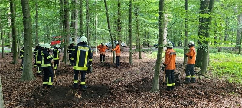 Waldbrand: Feuerwehren proben in Apensen den Ernstfall Ausbildung im Wiegersener Forst