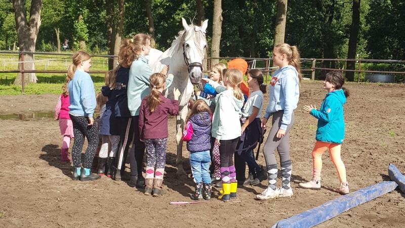 Hobby-Horsing als Wettbewerb: Trainerin aus Großenwörden kontert Kritik Ausflüge und Begegnungen mit Vierbeinern gehören bei der Großenwördener Hobby-Horse-Gruppe dazu. Hier sind sie auf dem Hof von Gerd Offermann in Burweg und treffen den Schimmel Camino.