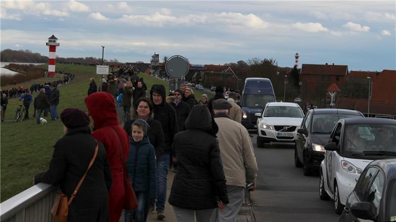 Ausflugstourismus in Folge der Havarie der Indian Ocean im Februar 2016 auf dem Elbdeich in Jork-Lühe.