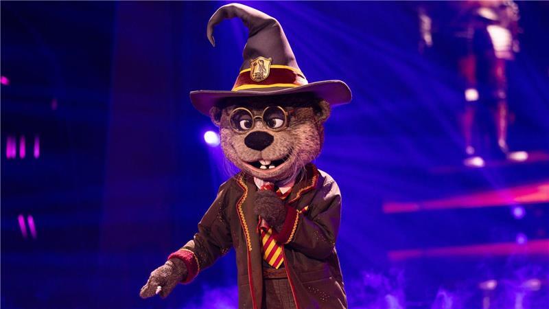 Ausgezaubert für Harry Otter: Clemens Schick ist in der Musikshow „The Masked Singer“ enttarnt worden. (Archivbild)