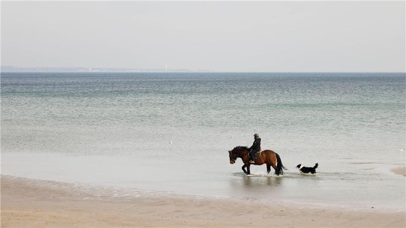 Gute Buchungslage im Schleswig-Holstein-Tourismus Außerhalb der Hochsaison kann man die Strände im Norden auch mal alleine genießen.