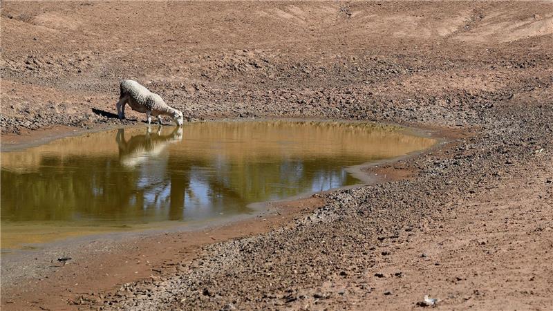 Australien kämpft bei El Niños mit verheerenden Dürren. (Archivbild)