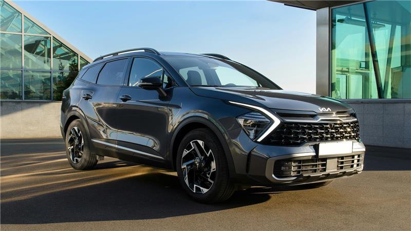 Autodiebe haben einen Kia Sportage in Neu Wulmstorf entwendet (Symbolbild).