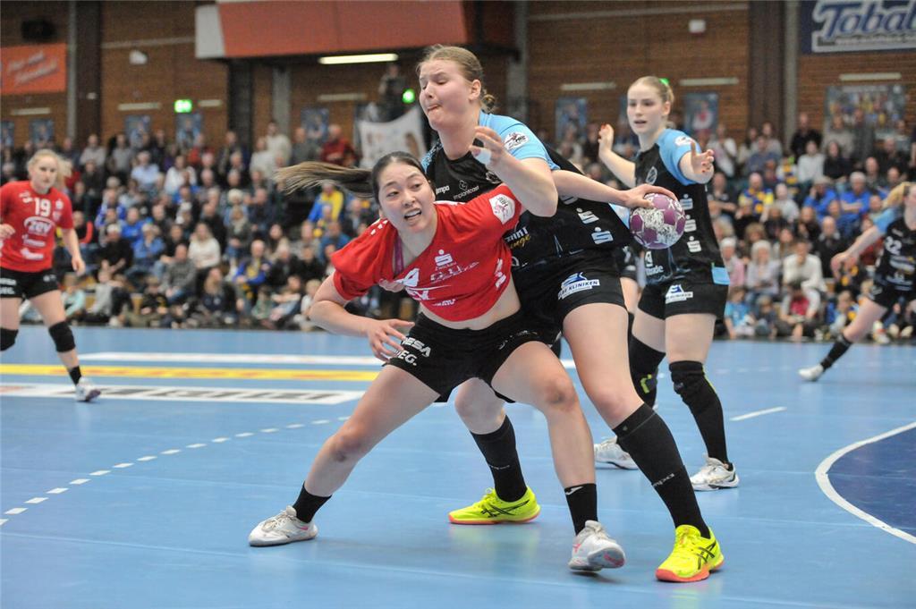 BSV - Sachsen Zwickau