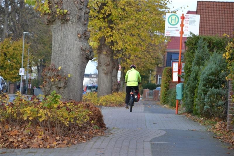 Massive Behinderungen: Harsefelder Straße wird für sechs Jahre zur Baustelle Bäume, Bushaltestelle, Rad- und Fußweg: In der Harsefelder Straße kann es auf dem Radweg durchaus eng werden. Foto: Helfferich