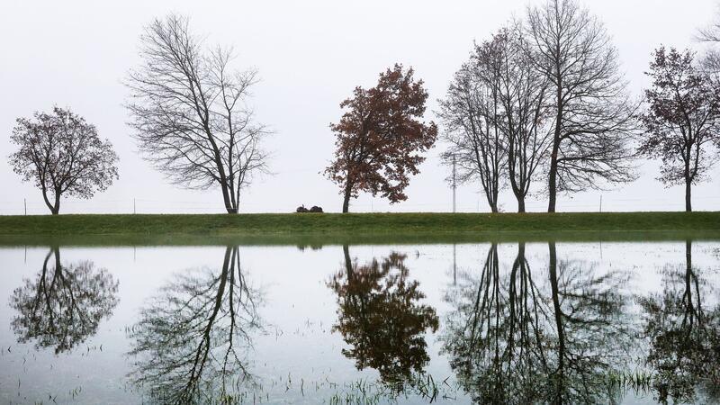 Das Wetter bleibt nass und recht mild Bäume auf einem Damm spiegeln sich in einer Wiese im Hochwasser der Donau wieder.