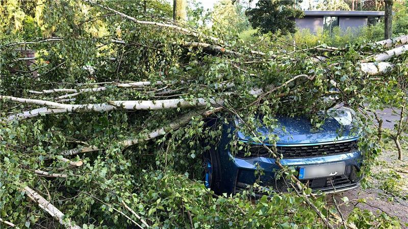 Bäume, die auf Autos stürzen und andere Naturgefahren richteten vergangenes Jahr deutlich weniger Schäden an. (Archivbild)