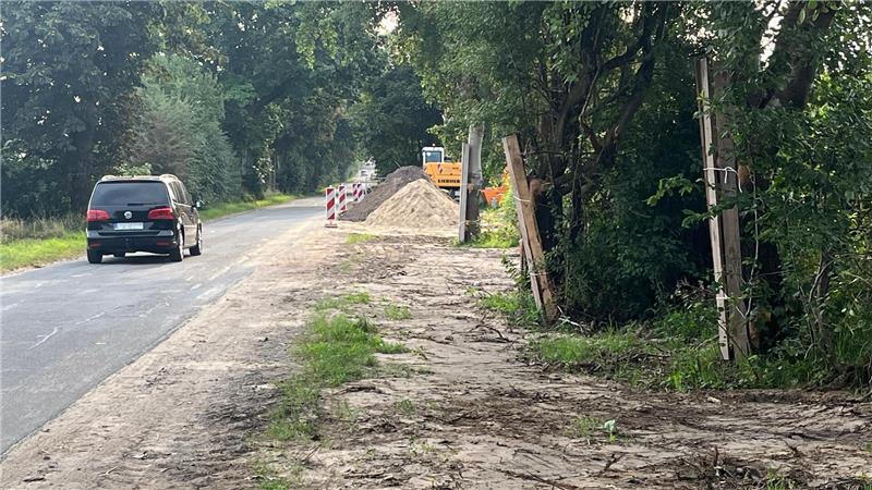 Bäume entlang des zukünftigen Fuß- und Radweges werden aktuell mit Balken geschützt.