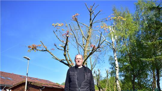 Bäume und Kita-Kinder gefährdet: Werner Meincke klagt über möglichen Baumfrevel an der DRK-Kindertagesstätte An der Este in Estebrügge.