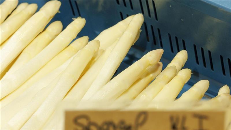 Bald geht die Spargelsaison los - viele regionale Anbaubetriebe bieten das Gemüse dann wieder an. (Archivbild)