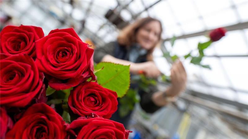 Bald ist Valentinstag.