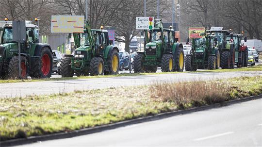 Bald könnten wieder Traktoren rollen: Angesichts niedriger Schlachtpreise für Schweine schließen Landwirtschaftsverbände Protestaktionen nicht aus. (Archivbild)