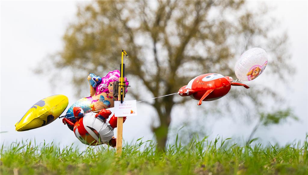 Ballons und eine Wildkamera stehen auf einem Feld. 