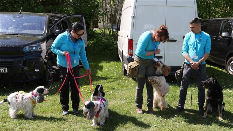 Bargeld- und Goldspürhunde sind im Einsatz.