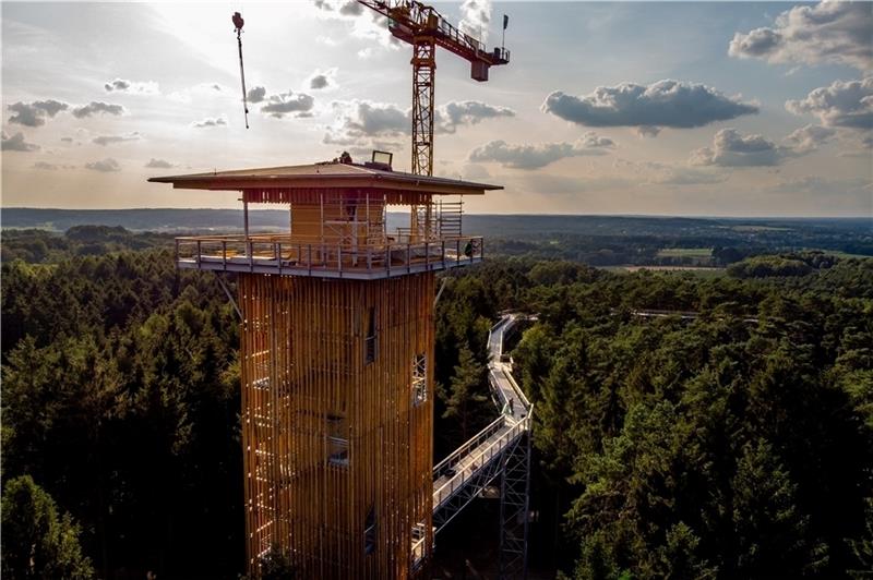 Bauarbeiten in luftiger Höhe: Handwerker montieren die Dachteile auf dem 40 Meter hohen Aussichtsturm. Er ist das Herzstück des neuen Baumwipfelpfades am Wildpark Lüneburger Heide.