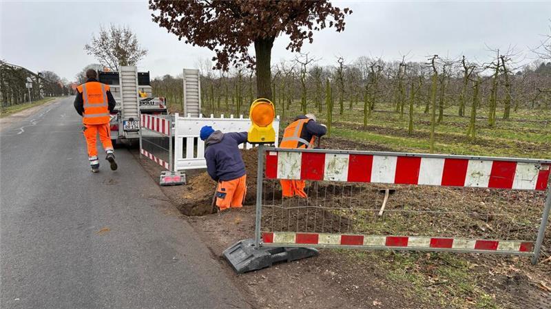 Bauarbeiter schauen anhand von Probegrabungen, welche Versorgungsleitungen unterirdisch verlaufen.