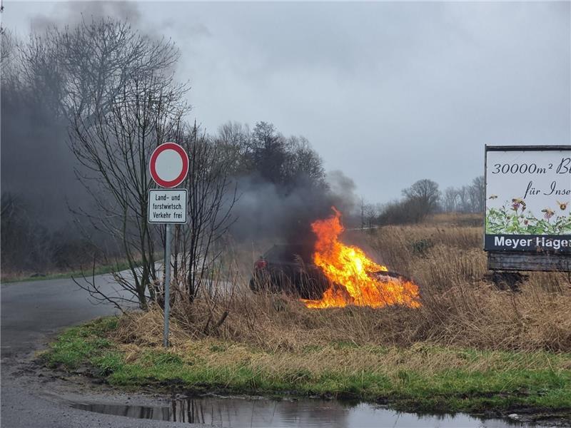 Feuerserie: Wieder brennt ein Auto im Landkreis aus Beamte der Polizei Horneburg entdeckten den Brand zufällig im Rahmen ihrer Streife. Foto: Polizei