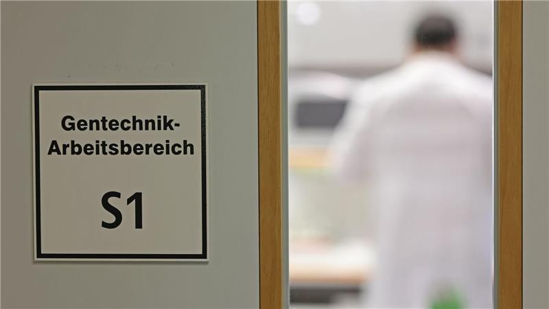 Befürworter erhoffen sich Obst- und Gemüsesorten, die ertragreicher, resistenter gegen den Klimawandel und nährstoffreicher sind.