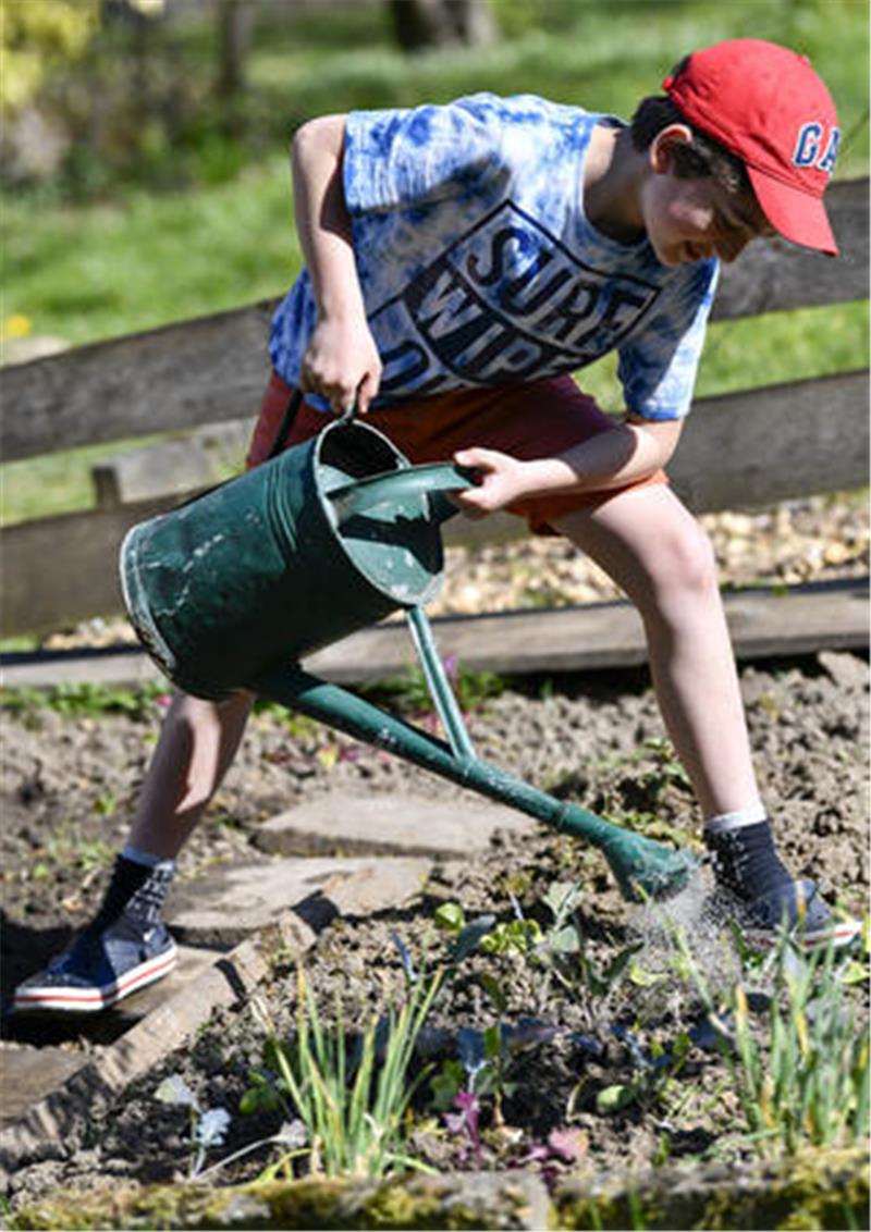 Kinder rein, Schädlinge raus: Garten-Tipps von Judith Rakers Begeisterung fürs Gärtnern wecken: Kinder sind wissbegieriger und neugieriger als Erwachsene und laufen mit einem ganz anderen Blick durch den Garten.