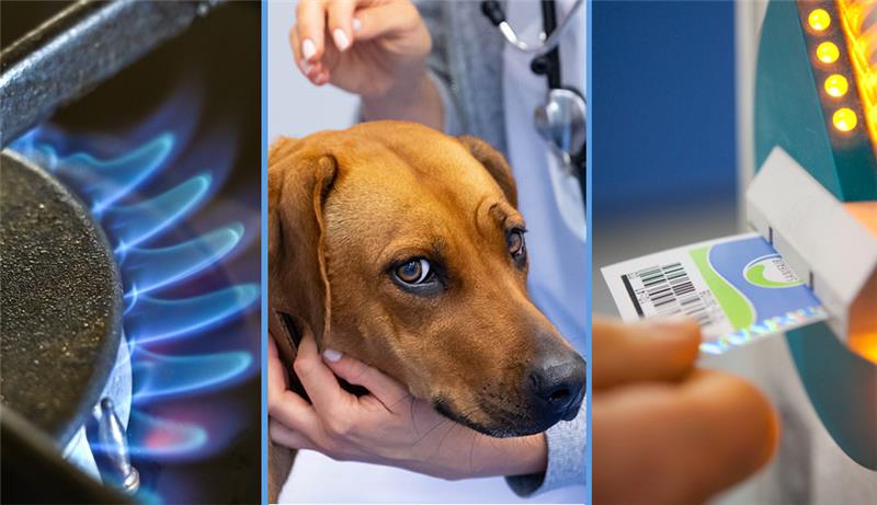 Behandlungen beim Tierarzt und der Toilettenbesuch an der Autobahnraststätte werden ab 1. November teurer. Fotos: dpa, Montage: vdb