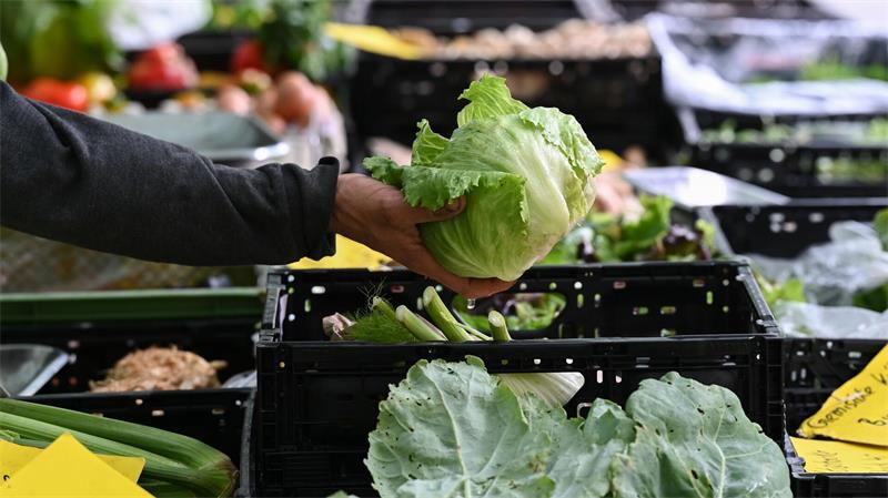 Behörden in den USA bringen einen Ausbruch in neun Bundesstaaten mit Eisbergsalat in Verbindung. (Symbolbild)