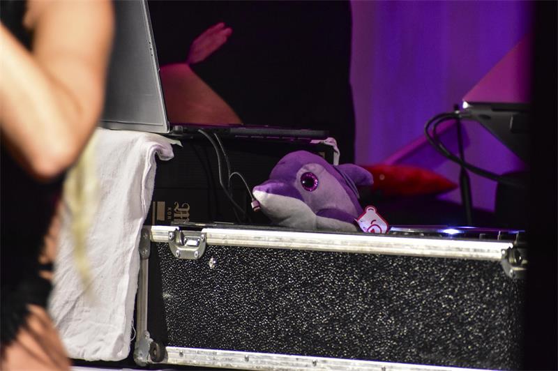 „Zuhause schlafen können“: Isi Glück spürt in Steinkirchen ihre Dorf-DNA Bei DJ Chris Reger am Pult liegt dieser Plüschtier-Delfin, passend zu Isi Glücks Ohrwurm-Hit.