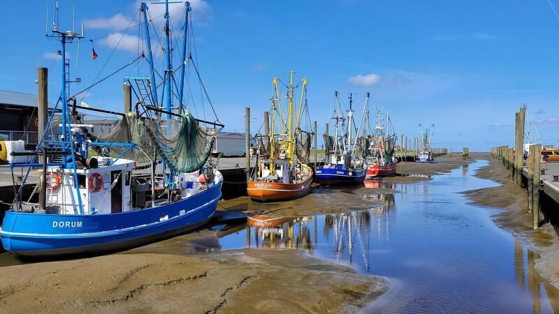 Schiffe liegen im Kutterhafen Dorum-Neufeld.