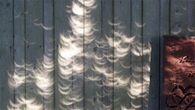 Bei Hans-Hinrich Fitschen schimmern die Sonnensicheln an der Schuppenwand.