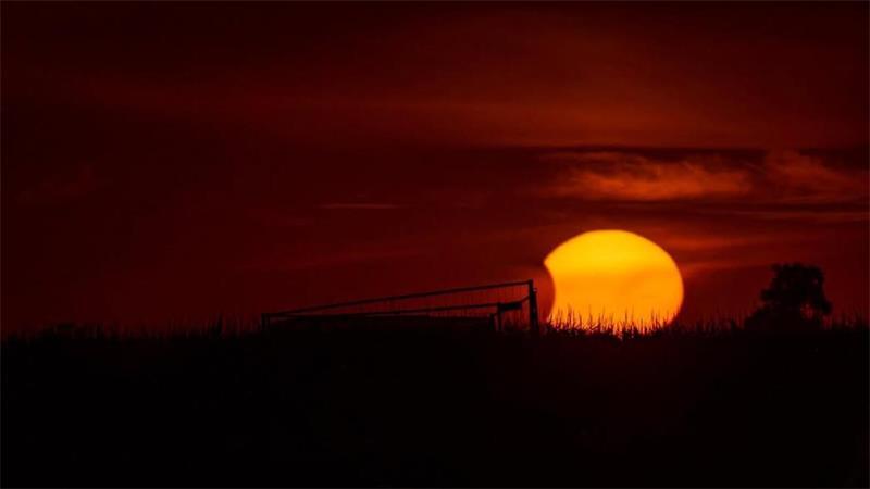 Bei Manuela Zank in Ritschermoor wirkt die Sonnenfinsternis ganz andächtig.