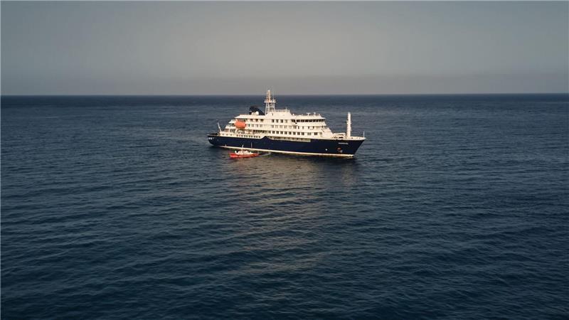 Bei Passagieren des niederländischen Kreuzfahrtschiffs „Hondius“ wurden spezifische Hantaviren nachgewiesen. 