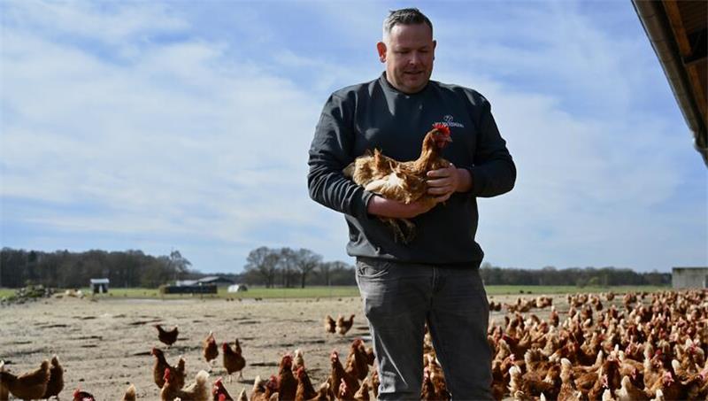 Hype um das Osterei: Profitieren davon auch Henne und Halter? Bei PremiumEi in Harsefeld haben die Hennen viel Auslauf. Doch viele Verbraucher essen oft noch Eier aus Käfighaltung, ohne es zu merken.