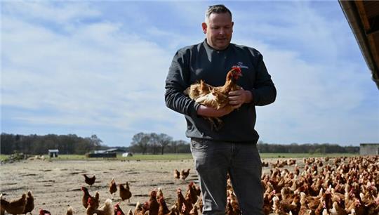 Bei PremiumEi in Harsefeld haben die Hennen viel Auslauf. Doch viele Verbraucher essen oft noch Eier aus Käfighaltung, ohne es zu merken.