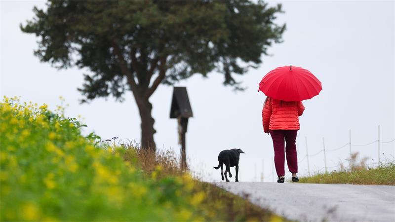 Bei Regen oder Sonnenschein: Tägliche Spaziergänge helfen dem Körper, sich besser an Temperaturwechsel zu gewöhnen.