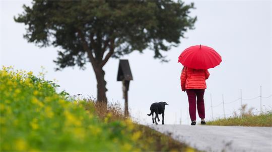 Bei Regen oder Sonnenschein: Tägliche Spaziergänge helfen dem Körper, sich besser an Temperaturwechsel zu gewöhnen.