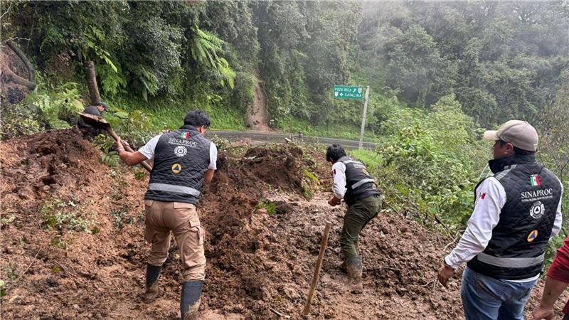 Unwetter in Mexiko: Freilaufender Tiger wurde gefunden Bei Überschwemmungen und Erdrutschen in Mexiko sind offiziellen Angaben zufolge mehrere Menschen ums Leben gekommen. (Handout)