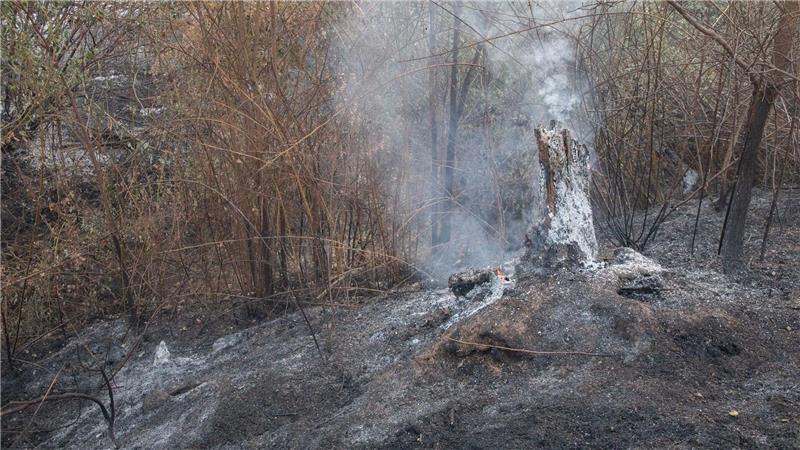 Bei dem Feuer in Tres Cantos kam ein Mann in den Flammen ums Leben.