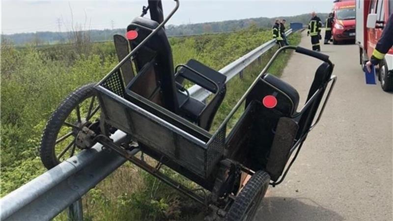 Tote Hühner an A26: Peta setzt diese Belohnung aus Bei dem Kutschenunfall auf einem Wirtschaftsweg zwischen Dollern und Agathenburg wurden fünf Menschen teils schwer verletzt.