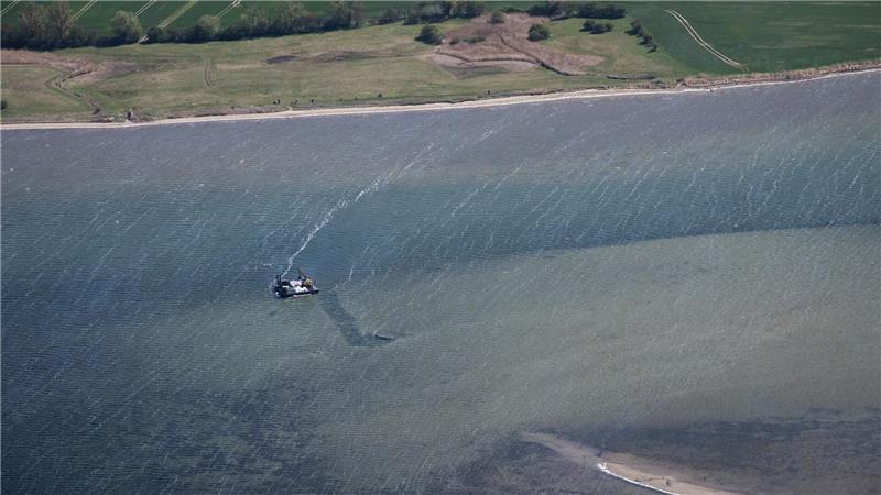 Bei dem Rettungsversuch des Wals soll ein Gurt zum Einsatz kommen. (Archivbild)