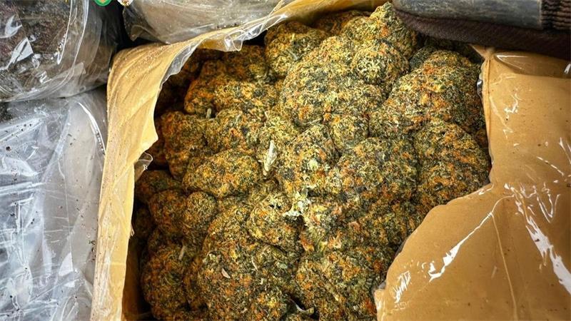 Hamburger Hafen: Ermittler entdecken Drogen im Wert von zwölf Millionen Euro Bei den Drogen handelt es sich um Cannabis.