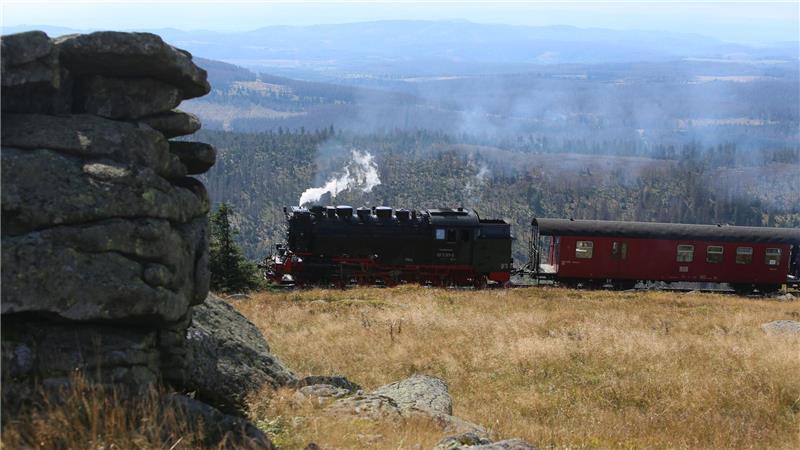 Harzer Schmalspurbahnen brauchen Millionen für Sanierung Bei den Harzer Schmalspurbahnen muss investiert werden. (Archivbild)