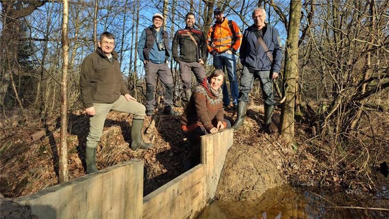 Bei den Heidhofer Teichen: (von links) Revierleiter Heiko Ehing, Gunnar Siedenschnur (BIOS), Waldbiotopkartierer Ole Bauer (NFP), Davis Schrandt vom Landkreis Osterholz und Hans-Gerhard Kulp (BIOS).