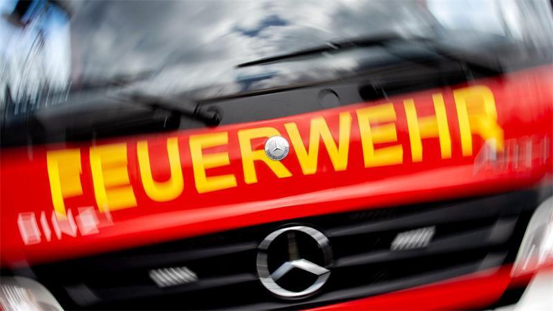 Vier Feuerwehrleute bei Waldbrand in der Oberpfalz verletzt Bei den Löscharbeiten wurden vier Feuerwehrleute verletzt. (Archivbild)