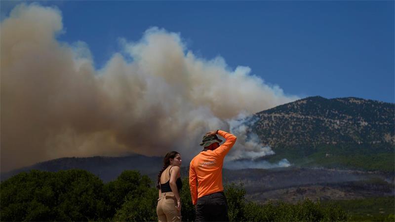 Bei den Menschen herrscht Entsetzen angesichts der andauernden Brände, die so viel Natur zerstören.