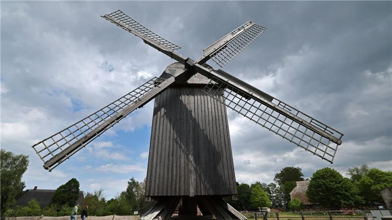 Pfingsten an der Mühle - Schaumahlen, Brotbacken und Musik Bei der Bockwindmühle musste das gesamte Bauwerk einer hölzernen Bockkonstruktion vor den Wind gedreht werden.