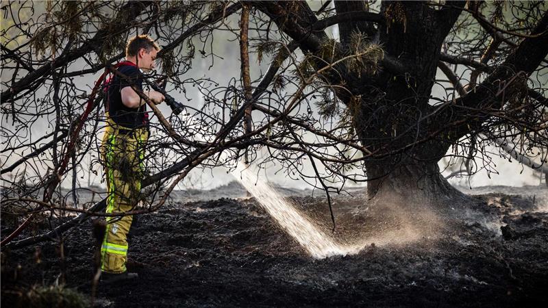 Bei der Brandbekämpfung in den Niederlanden kamen Feuerwehrleute aus mehreren Ländern zum Einsatz.