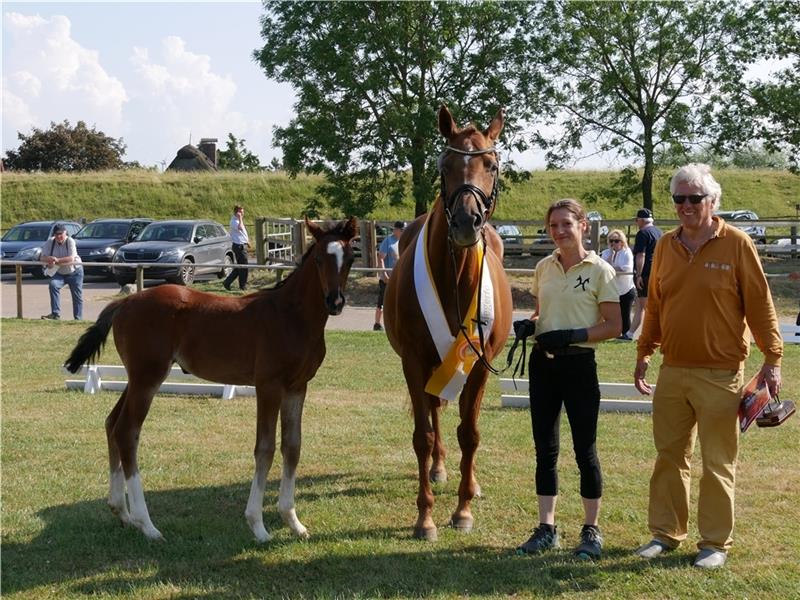Bei der Fohlenschau in Freiburg wurde dieses Stutfohlen als Sieger in der Kategorie Dressur (jung) gekürt - sehr zur Freude von Züchter Dr. Carsten Haack aus Freiburg. Foto: Petra Mahler