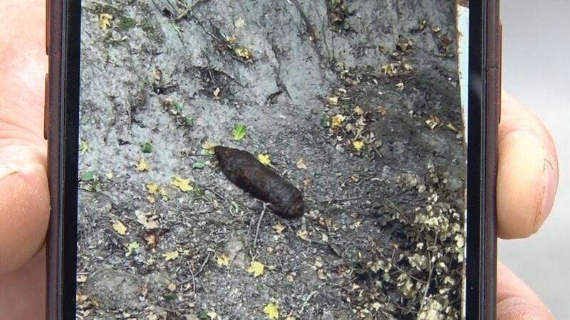 Bei der Kartoffelernte im Landkreis Osnabrück wurde eine Splitterbombe aus dem Zweiten Weltkrieg entdeckt.